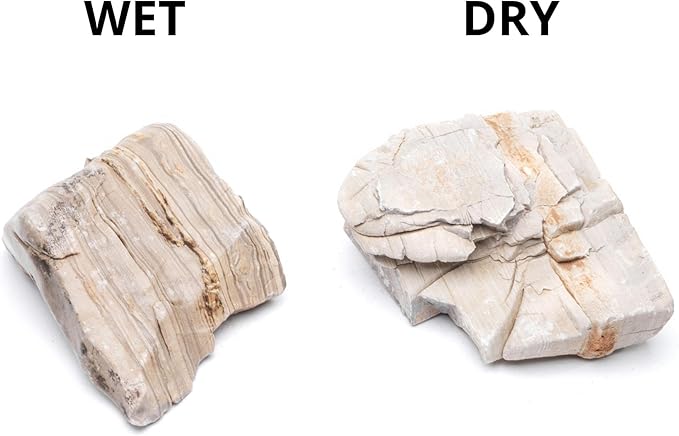 SubstrateSource Natural Stone for Aquarium, Terrarium, Paludarium, Reptile Enclosures - Set of Decorative Rocks for Landcapes, Aquascaping, Fish Tank Decor (Gobi Desert Stone, 20 Pounds, 2-8)