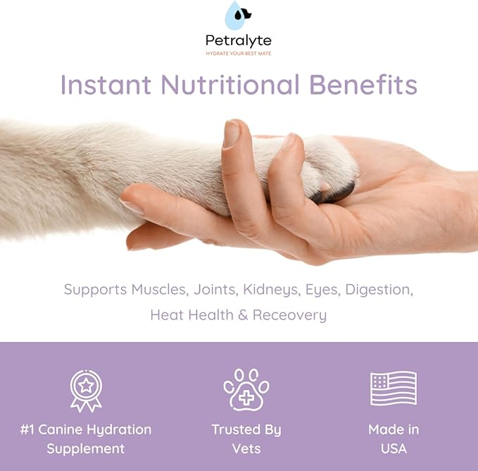 Dog Electrolytes and Joint Supplement | Hydration Support for Dogs w/Glucosamine, Chondroitin & More | Electrolytes for Dogs with Prebiotics | Salmon Lovers | 32 Packets