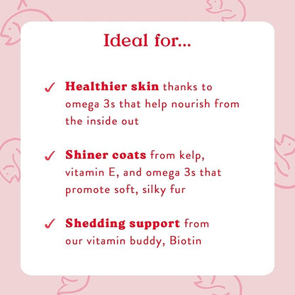 Bocce's Bakery Skin & Coat Supplement for Dogs, Daily Chews Made in The USA with Vitamin E & Essential Fatty Acids, Supports Healthy Skin & Coat, Salmon, 60 ct, Red (DG-SP-SKIN60)