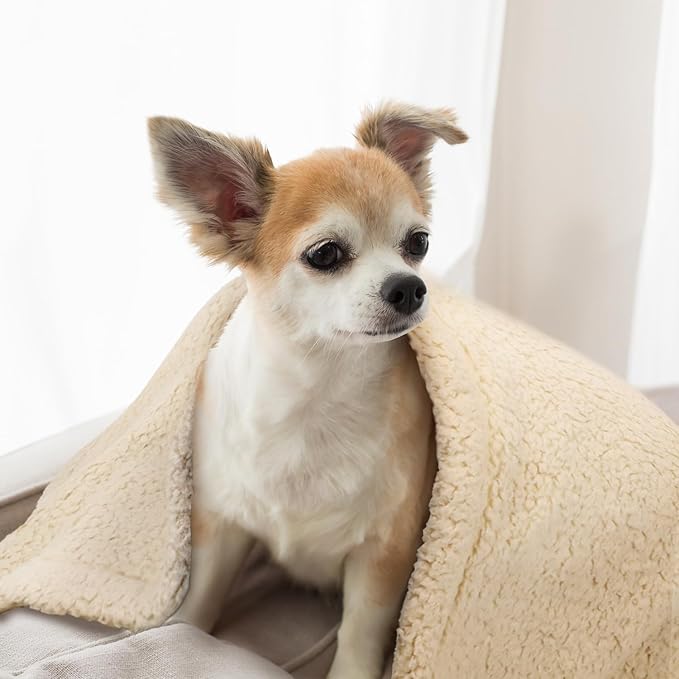 furrybaby Dog Blanket Soft Dog Blankets for Large Dogs Puppy Essentials Washable Sherpa Fleece Cat Blanket 32x40 Inches for Bed Furniture Couch Sofa (Medium, Beige)