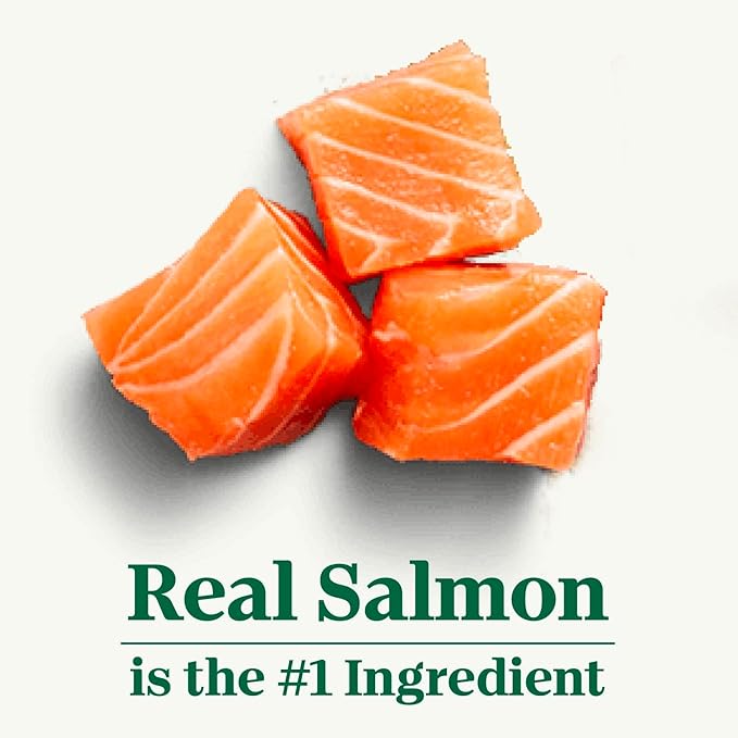 Nutro Natural Choice Small Bites Adult Dry Dog Food, Salmon & Brown Rice Recipe, 28 lb. Bag