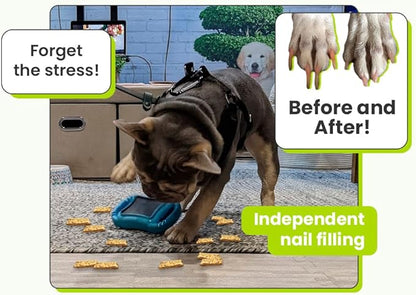 De' Vora Scratch Square - Dog Nail Scratch Board Treat Box | 5 in 1 Dog Scratch Pad for Nails | Dog Nail Scratch Board with Treat Box | Scratch Pad for Dogs Nail File | Dog Scratch Board for Nails M/L