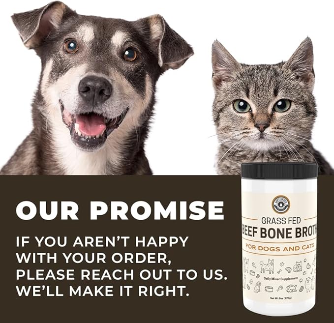 8oz Beef Bone Broth Powder for Dogs and Cats – Human Grade Grass-Fed Bone Broth for Picky Eaters – Supports Joints and Gut Health – Single Ingredient Bone Broth for Cats -Dog Food Toppers For Dry Food