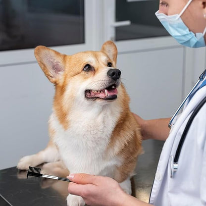 2 Pcs Black Pet Tear Comb and Stain Remover, Dog Eye Comb, Double Head Facial Brush and Removal Tool for Small Dogs, Cats