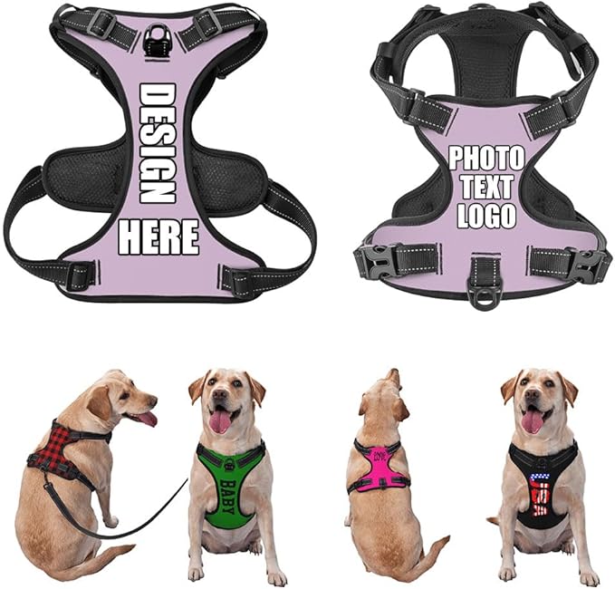 Personalized Dog Vests Customization for Puppy Medium Large Sized Dogs, Customize No Pull Dog Harnesses with Easy and Adjustable Wearing Buckles, Thistle, S
