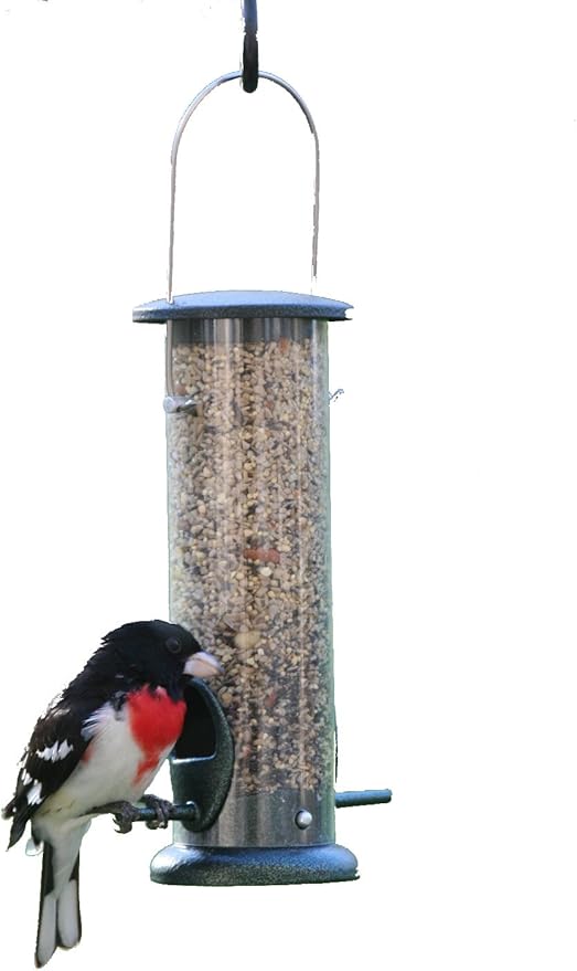 Birds Choice LCTUBE Tube Bird Feeder, Hanging Feeder, Small, 2 Ports, 2 Cups, Green