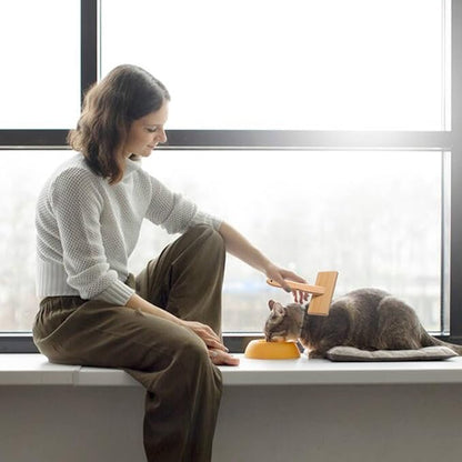 Dog Brush for Removing Shedding, Tangles and Fluff, Pin Brush for Dogs and Cats with Bamboo Handle, 1 Count, Oblong, All Hair Type, Pet Grooming Brush, Promotes Pet Relaxation