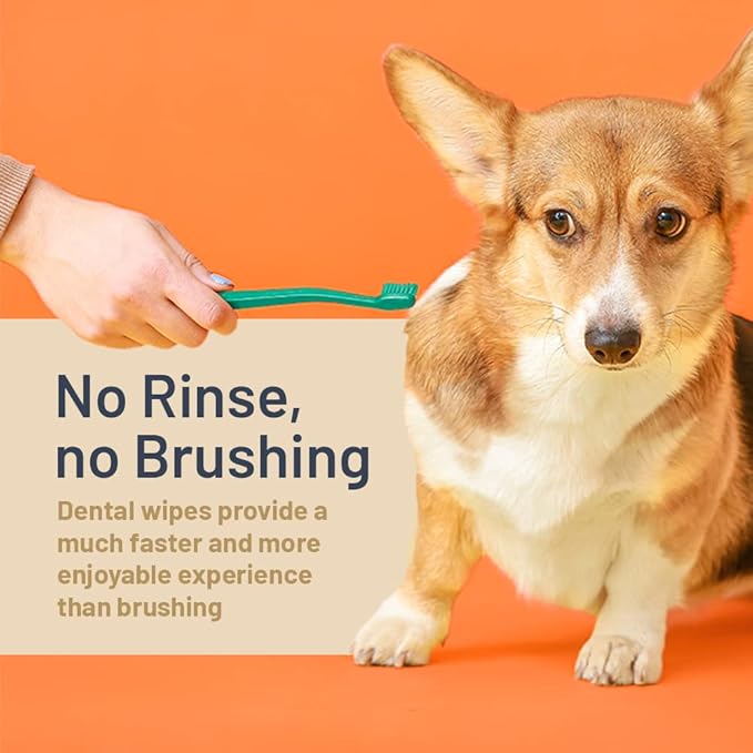 Dog Dental Wipes - Natural Dog Bad Breath Eliminator and Dental Care with Pomegranate and Sodium Bicarbonate - Made in The US - Vegan - Easy to Use Dog Teeth Wipes, Dogs Love The Taste