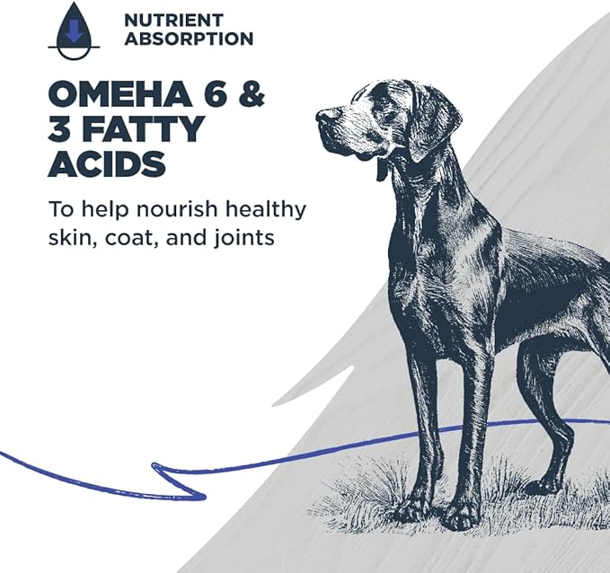 Blackwood Grain Free Dry Dog Food, Chicken & Field Pea Recipe, 24 Pound Bag for All Life Stages, Slow Cooked with Vitamins & Minerals for a Balanced Diet