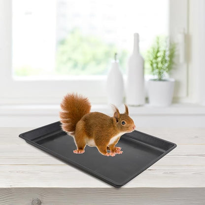 Garneck Dog Crate Replacement Tray 34x26cm Durable Plastic Bottom Pan for Pet Cages - Kennels and Rabbit Litter Box Easy Clean Dog Cage Tray for Cats Dogs and Small Animals