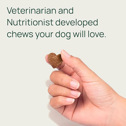pawTree Joint & Hip Support Supplement for Dogs & Cats with Glucosamine, Chondroitin, MSM, Tumeric & Green Lipped Mussels - Vitamins & Health Essentials - All-Natural Mobility Soft Chews