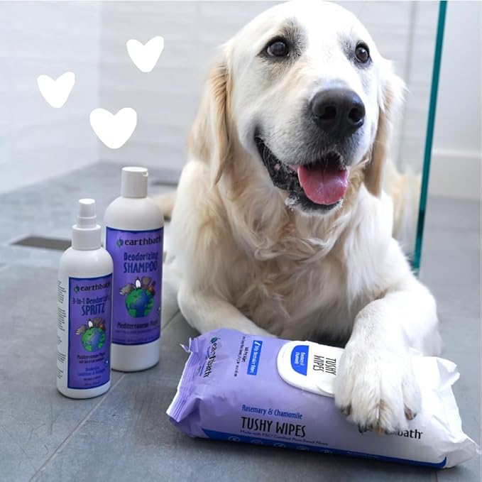 earthbath, Mediterranean Magic Dog Shampoo - Deodorizing Shampoo for Smelly Dogs, Rosemary Scented Pet Wash, Made in USA, Cruelty Free - 16 Oz (1 Pack)