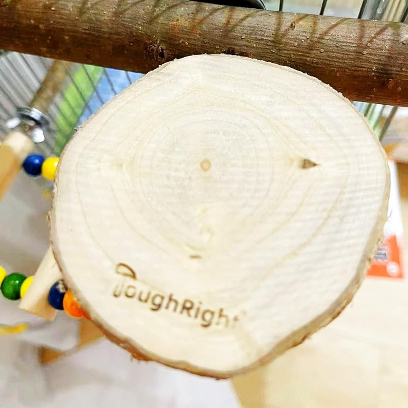 Natural Wood Bird Perch Playground for Outside the Cage Wall, Bird Platform and Play Area for Small to Medium Parrots like Cockatiels, Conures, Parrotlets, Lovebirds, and Budgies, Bird Cage Accessory