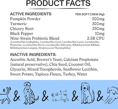 Spot & Tango Probiotics Supplements for Dogs - Vet-Approved for Healthy Digestion and Balanced Gut - Pumpkin, Turmeric, Chicory Root, Black Pepper, Nine-Strain Probiotic Blend, 56 Count