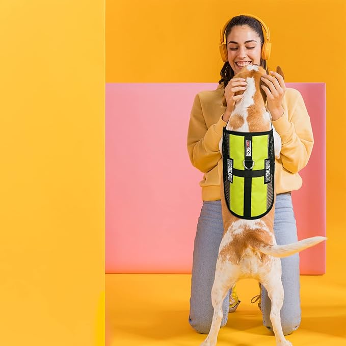 Dogline MaxAire Multi-Purpose Mesh Vest for Dogs and 2 Removable Emotional Support Patches, Small, Green