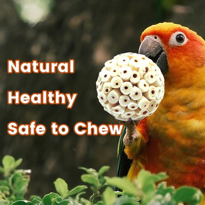 Bird Toys Sola Balls 2.36'' - 6PCS, Bird Foraging Toy, Soft Sola Atta Ball, Parrot Chew Shred Toy for Sharpening Claws and Beaks for Cockatiel, Parakeets, Conure, Love Birds, Budgie and Small Birds