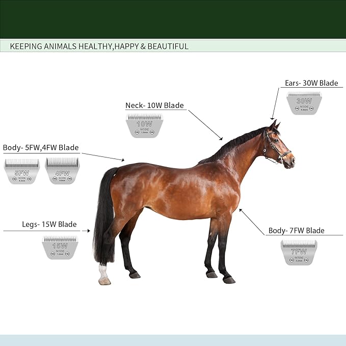 3 Pack 10W Wide Blades for Dog Grooming,Compatible with Andis,Oster A5,Wahl km10 Clippers,Cutting Length 1/16"