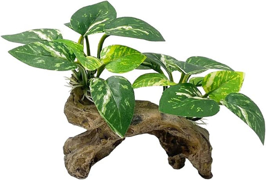 Smoothedo-Pets Fish Tank Decorations Aquarium Decor Ornaments Betta Silk Leaf pad Hammock Artifical Driftwood cave Goldfish Bowl Accessories (Type-C)