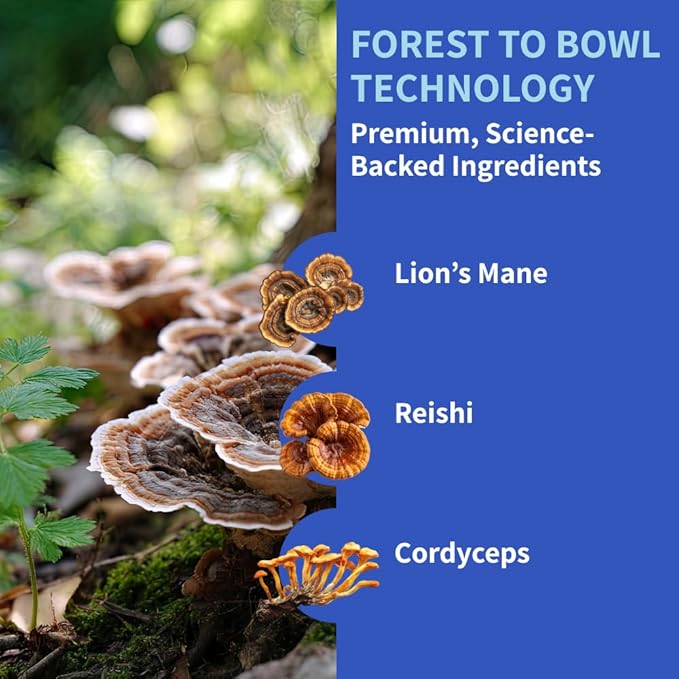 Dog Joint Supplement Powder with Glucosamine, Chondroitin & MSM  Hip & Joint Support for Mobility, Stiffness & Flexibility  Mushroom Blend with Lion_ Mane, Cordyceps & Reishi  Zoomy