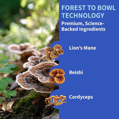 Dog Joint Supplement Powder with Glucosamine, Chondroitin & MSM  Hip & Joint Support for Mobility, Stiffness & Flexibility  Mushroom Blend with Lion_ Mane, Cordyceps & Reishi  Zoomy