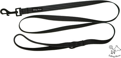 Dog Harness and Leash Set, No Pull Adjustable Soft Padded Vest, No Choke (Large, White Stripe)