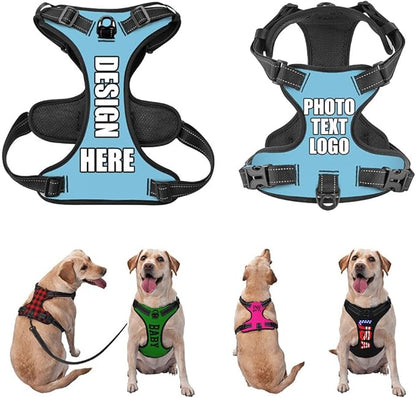 Personalized Dog Vests Customization for Puppy Medium Large Sized Dogs, Customize No Pull Dog Harnesses with Easy and Adjustable Wearing Buckles, SkyBlue, L