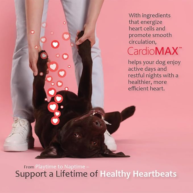 Heart Support Supplement for Dogs-Vet-Formulated, Antioxidant-Rich-L-Taurine, L-Carnitine,EPA,DHA,CoQ10-Aids Circulatory Strength, Cardiovascular Support, Heart Muscle Function-USA Made-60 Soft Chews