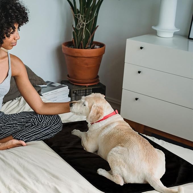 Bucephalus Waterproof Dog Blanket, Thick Reversible Soft Pet Blankets for Couch Bed Protection, Pee Proof Sherpa Fleece Blanket for Small Medium Large Dogs Puppy Cats Washable (Black, 25"_35")