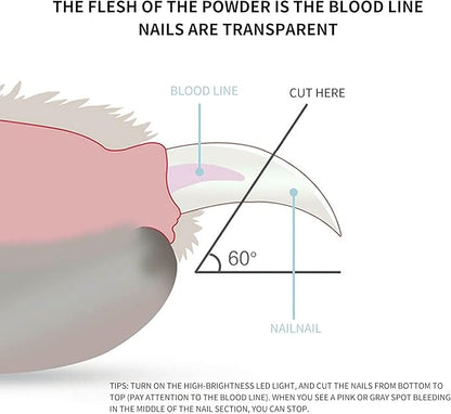 Pet Dog Cat Nail Clippers, Dog Nail Trimmers for Small Animals with LED Lights, Professional Beauty Care Tools, Avoid Excessive Cutting, Suitable for Tiny Dog Cat Rabbit Bird Puppy Kitten (Blue)