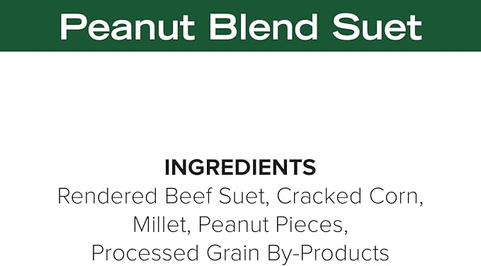 Blue Seal Nut Feast Suet Cakes for Wild Birds | No Mess Suet Feed with Variety of Nuts | Food for Woodpeckers, Cardinals, Siskins & Sparrows | Use with Suet Feeder | 11oz Seed Cake (6 Variety Pack)