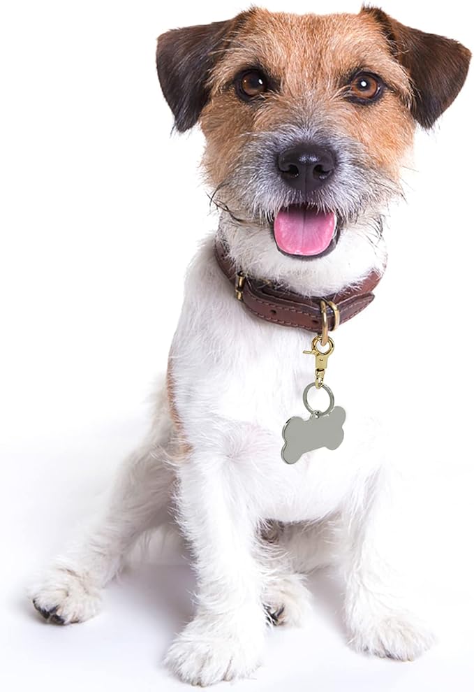 Dog Tag Clips 2 Pack Easy Change for Pet ID Tag Quick Clips Small Medium Large Dogs and Cats Collars|Gold|