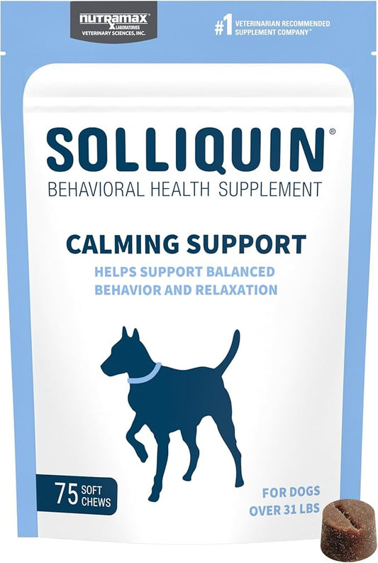Nutramax Solliquin Calming Behavioral Health Supplement for Large Dogs - with L-Theanine, Magnolia/Phellodendron, and Whey Protein Concentrate, 75 Soft Chews