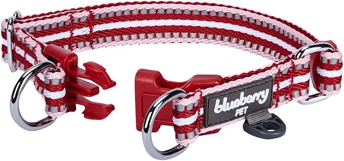 Blueberry Pet 3M Reflective Dog Collars | Adjustable Dog Collar w/Multi-Colored Stripe - Marsala Red and Pink | Nylon Pet Collars for Dogs & Refflective Dog Collar for Medium Dogs