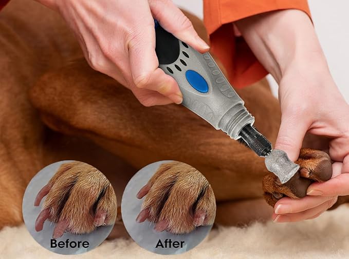 for Dremel Dog Nail Grinder - Diamond Bits Attachment for Dog Nail - 1/8'' Painless Nail Grinder Bits Won't Pull Hair or Get Hot for Large Medium Small Dogs and Cats Paws Grooming