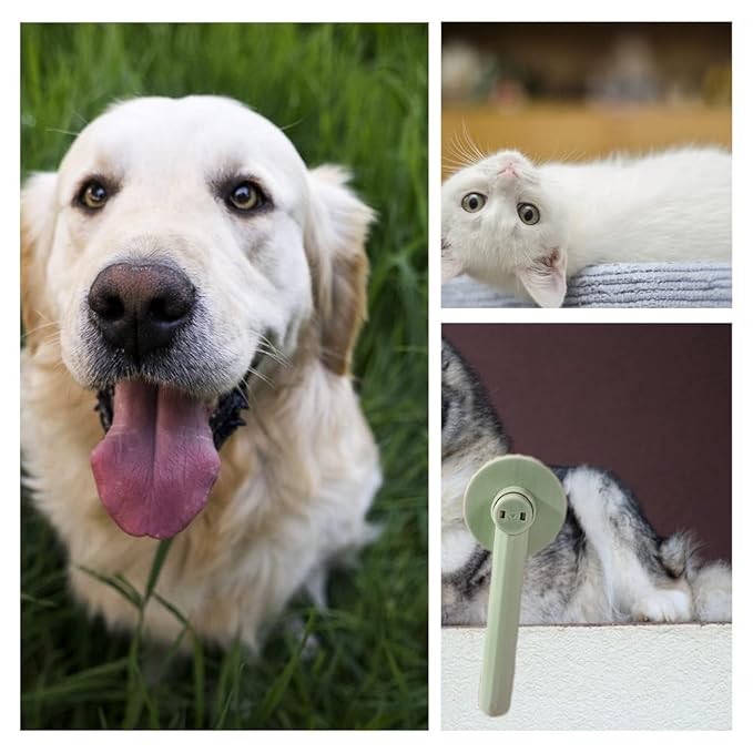 Slicker Dog Brush Multifunction Cat Grooming Brush Comfortablecomfortable Pet Slicker Comb for Pet Dog Cat Deshedding Grooming Massage