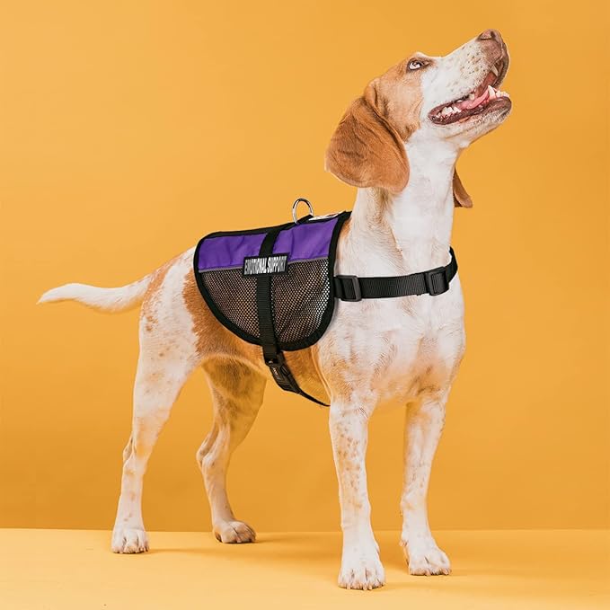 Dogline MaxAire Multi-Purpose Mesh Vest for Dogs and 2 Removable Emotional Support Patches, 30 to 38", Purple