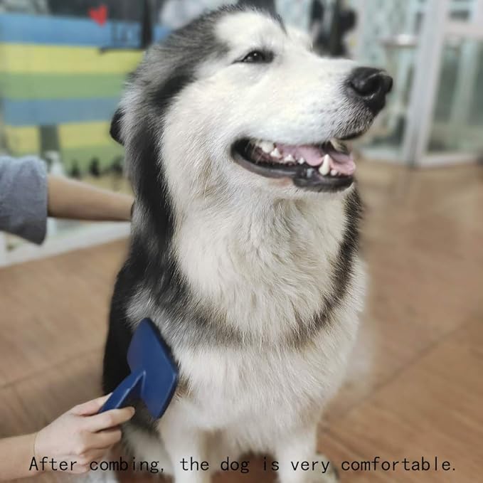 Dog Slicker Brush for Medium to Long Haired Dogs Labradoodles Grooming Brush,Long Pin Slicker Dog Brush for Goldendoodles Poodles Doodles, Removes loose Hair,Undercoat(1")