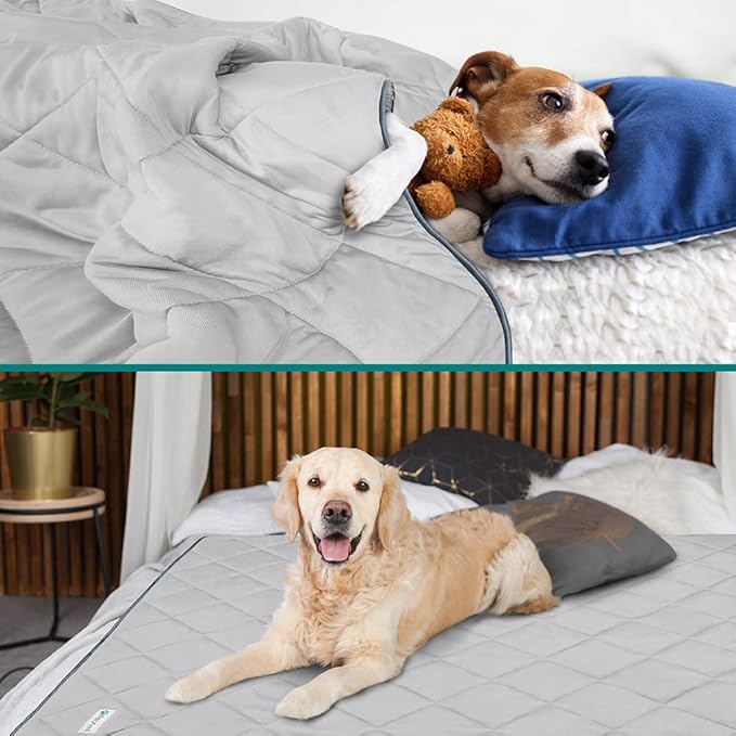 PetAmi Premium Cooling Dog Blanket | Lightweight Fluffy Pet Throw Blanket Bed Cover for Dogs, Cat, Puppies | Pet Blanket Furniture Protector Couch Sofa | Reversible Fuzzy Cozy | 24x32, Light Grey