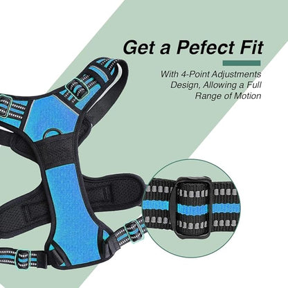 Dog Harness and Leash Duo, No Pull Vest Harness with 5 Ft Leash, Soft padded Vest, No-Choke Oxford Pet Harness, Easy Control Handle and Adjustable Pet Harness (Blue, Medium)