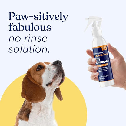 Honest Paws Dog Dry Shampoo - Waterless No Rinse Spray Formula Reducing Itch Cleanse Hydrate Nourish Dry Skin and Smelly Coat Help Decrease Odor Shedding and Allergies - Coconut & Mango - 8 oz