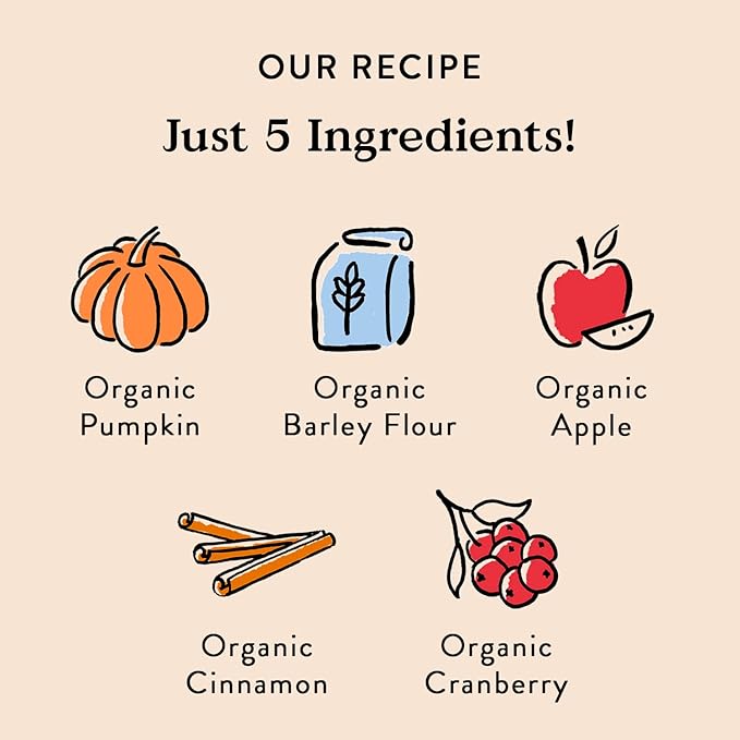 Bocce's Bakery All-Natural, Small Batch, Organic Dog Treats, Pumpk'n Harvest Biscuits, Wheat-Free, Limited-Ingredient, Made in The USA with 100% Recyclable Packaging, 12 oz Bag (DG-BC-PKH)