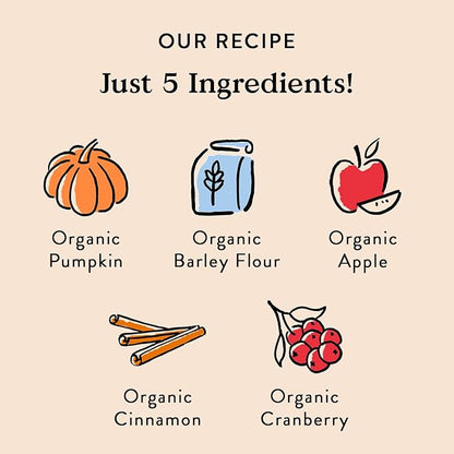 Bocce's Bakery All-Natural, Small Batch, Organic Dog Treats, Pumpk'n Harvest Biscuits, Wheat-Free, Limited-Ingredient, Made in The USA with 100% Recyclable Packaging, 12 oz Bag (DG-BC-PKH)