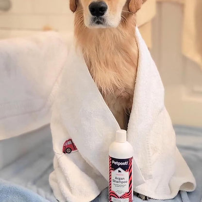 Petpost | Argan Shampoo for Dogs - Naturally Heals, Protects, & Rejuvenates Dog Dry Skin & Coat - Argan Oil and Aloe Formula 16 oz.