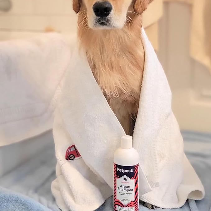 Petpost | Argan Shampoo for Dogs - Naturally Heals, Protects, & Rejuvenates Dog Dry Skin & Coat - Argan Oil and Aloe Formula 8 oz.