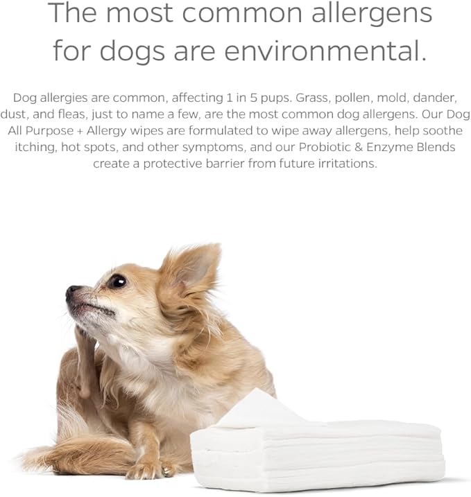 Pet Parents® Pet WiPees Dog All Purpose + Allergy Dog Wipes, Pet Wipes for Dogs, Puppy Wipes & Paw Wipes, Large Dog Wipes (100 Count (Pack of 1), Natural)