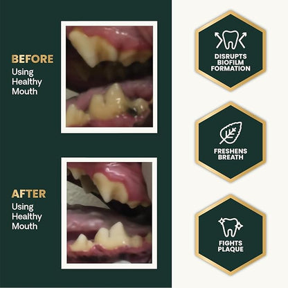 VetriScience Healthy Mouth Dog Dental Powder, Perio Support Clinically Tested Dental Powder for Dogs and Cats, Freshen Breath, Control Plaque & Tartar, Oral Health, 2 Pack