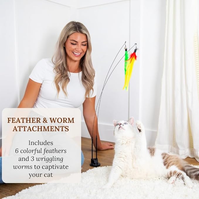 Cat Wand Toy With Suction Cups Interactive Feather Teaser Wand With Worms & Catnip Lizard Snake Chew Toys Cat Toys For Indoor Cats & Kittens Enrichment Toy For Bored Cats With 6 Colorful Attachments