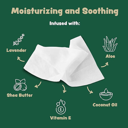 Dog Wipes for Cleaning and Deodorizing - Box of 50 Individually Wrapped 8.5" x 9" Bamboo Pet Wipes - Compostable, Hypoallergenic Puppy Wipes - Dog Wipes for Paws, Butt, and Body