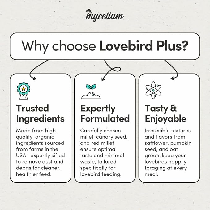 Mycelium Lovebird Plus Bird Food (5 LB Bag) | Organic, Non-GMO Bird Seed for Lovebirds & Small Parrots | Filler-Free & Nutrient-Rich | High Energy, Immune Support, Vitamin-Enriched | USA Made