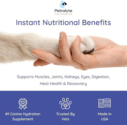 Petralyte Dog Electrolytes and Joint Supplement | Hydration Support for Dogs w/Glucosamine, Chondroitin & More | Electrolytes for Dogs with Prebiotics | for Beef Lovers | 32 Packets
